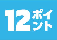 12ポイント商品