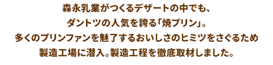 森永乳業がつくるデザートの中でも、ダントツの人気を誇る「焼プリン」。多くのプリンファンを魅了するおいしさのヒミツをさぐるため製造工場に潜入。製造工程を徹底取材しました！