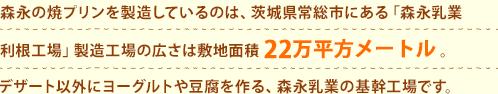 森永の焼プリンを製造している製造工場の広さは敷地面積22万平方メートル。デザート以外にヨーグルトや豆腐を作る、森永乳業の基幹工場です。