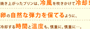 焼き上がったプリンは、冷風を吹きかけて冷却！卵の自然な弾力を保てるように、冷却する時間と温度も、慎重に。慎重に…。