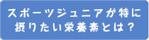 スポーツジュニアが特に摂りたい栄養素とは？