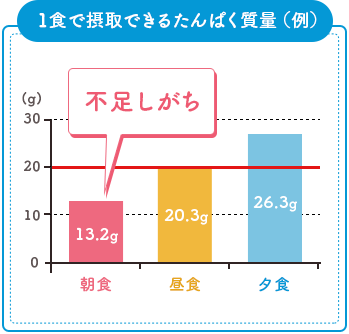 1食で摂取できるたんぱく質量（例）