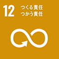 sdg 12