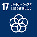 sdg 17