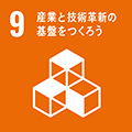 sdg 9